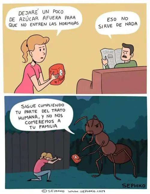 entra y reite