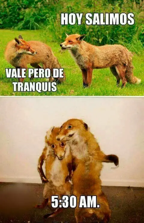 recopilacion