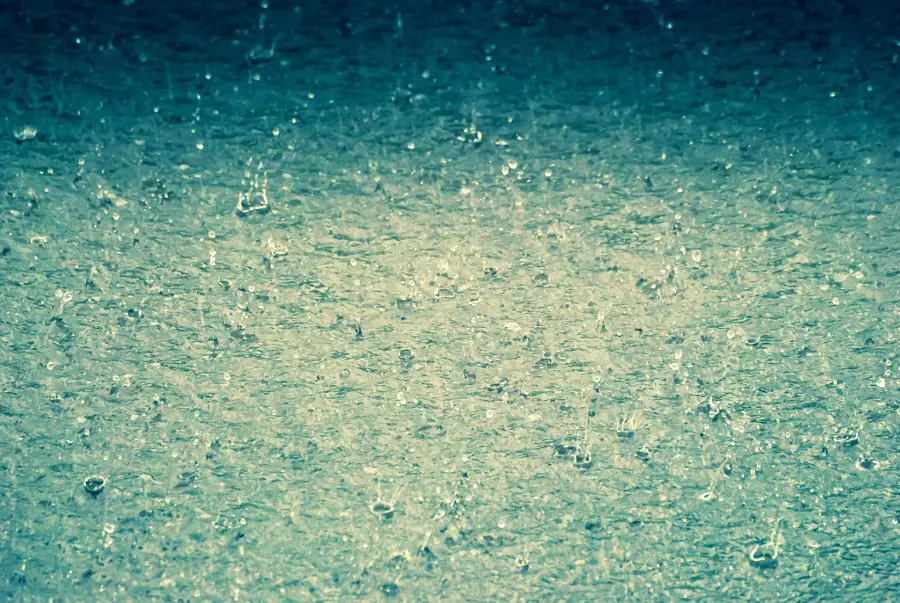 10 Datos curiosos reales que parecen mentira #2