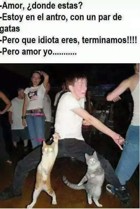 ocio