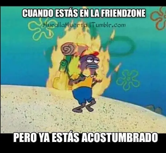 asi se siente ser taringuero