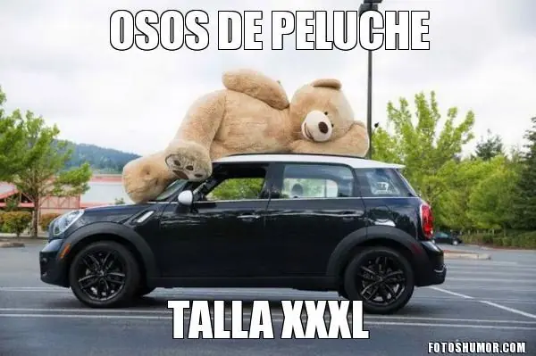 img locas