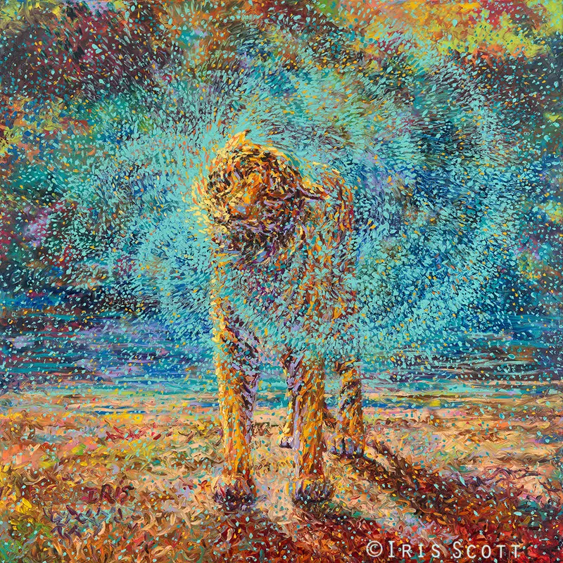 Pinturas al óleo de Iris Scott