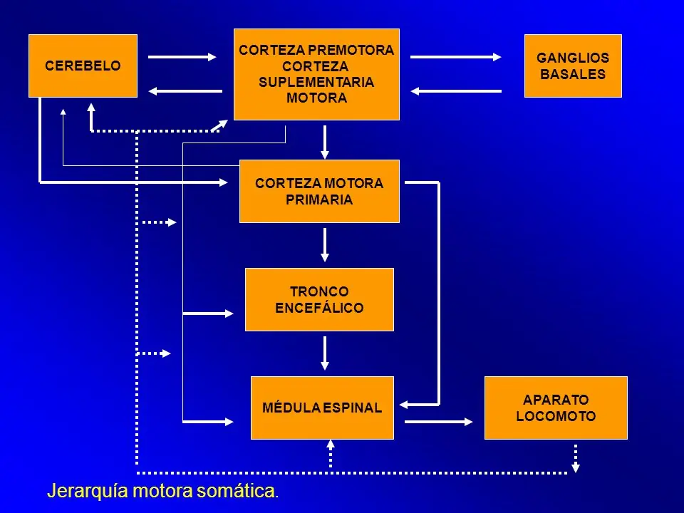 psicologia