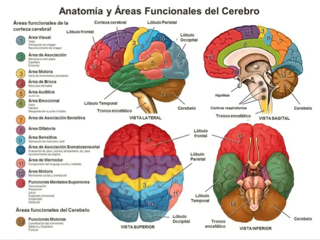 Así se mueve tu cuerpo