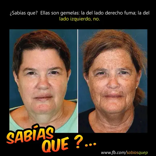inteligencia colectiva
