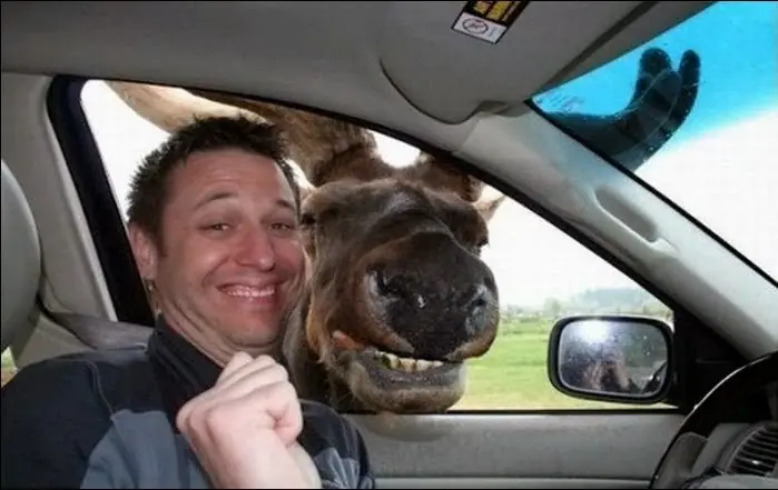 selfies