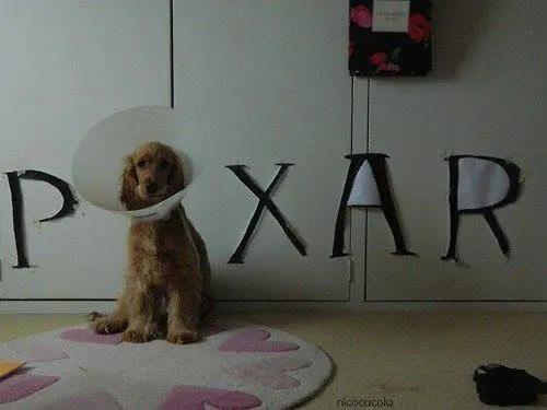 humor