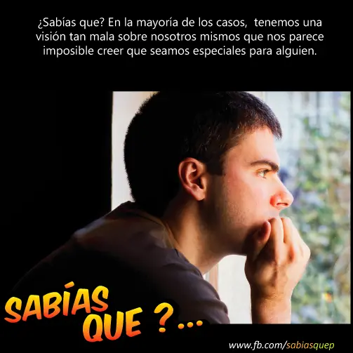Un poco de Inteligencia Colectiva +10 [Propio]