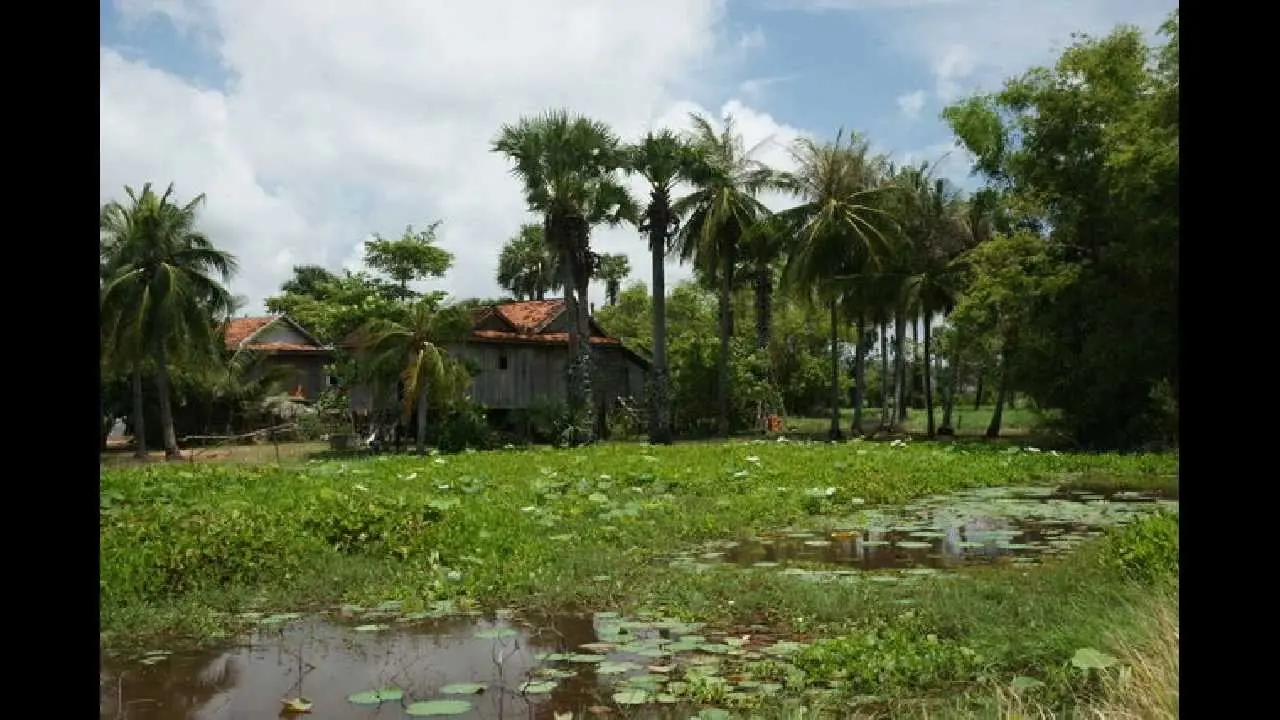 camboya camboya