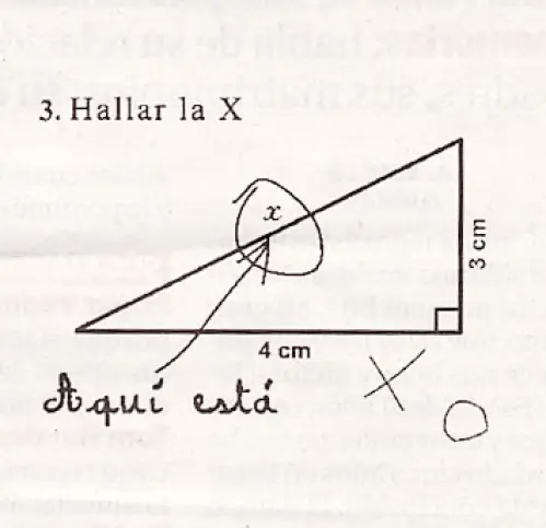 examen gracioso