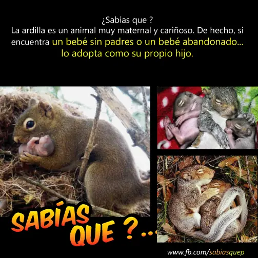 guerra fria