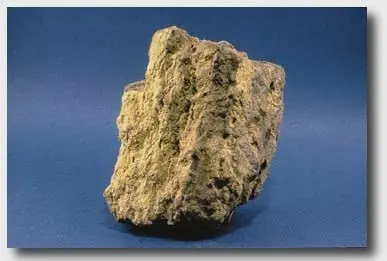 La respuesta que buscas