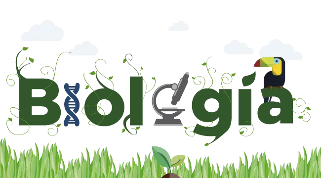 acelerar la recuperacion celular (biologica)