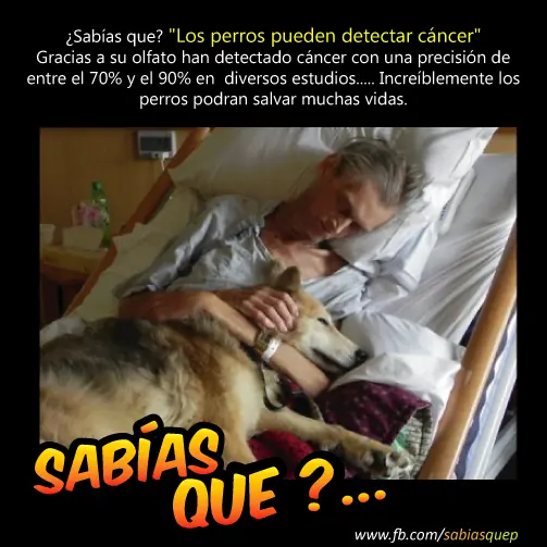 ateismo