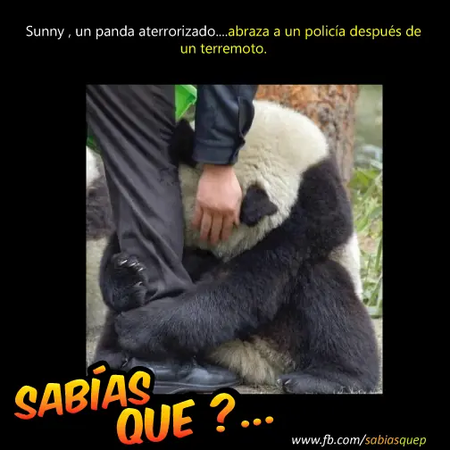 ateismo