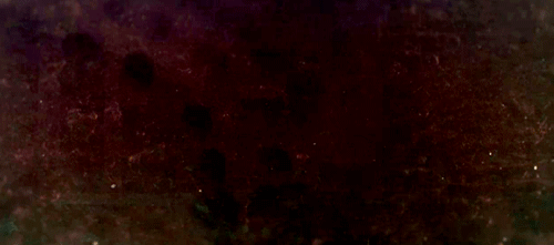 ¿Celulas Zombis? ¿Eso es posible? ¡Entra!