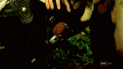 shane shane