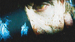 daryl daryl