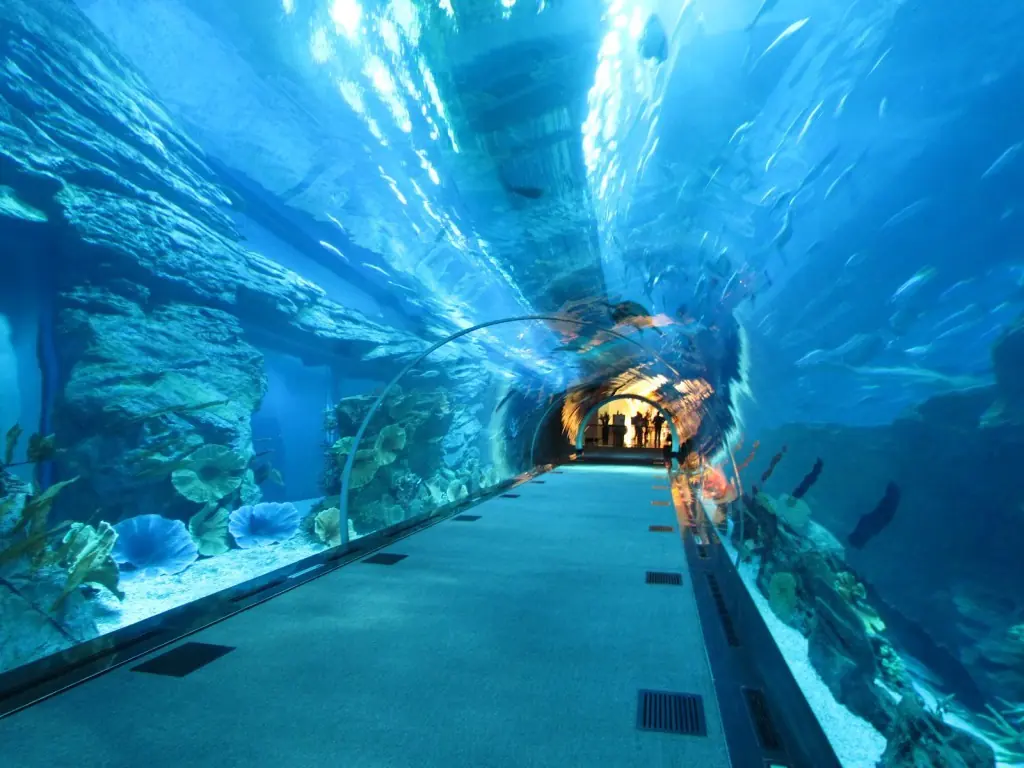 Mega Construcciones creadas en Dubai