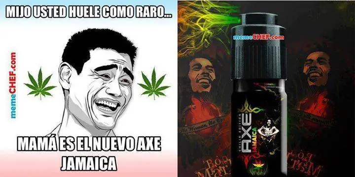 yesca yesca