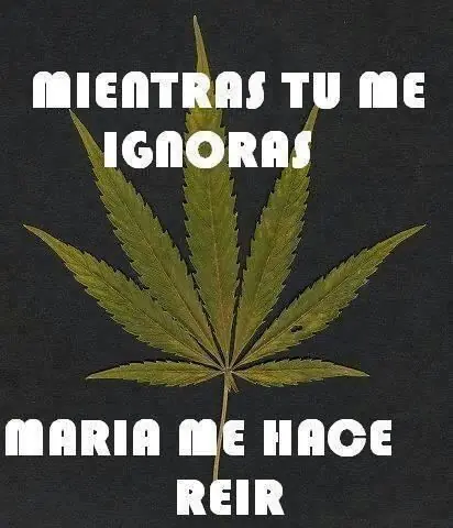 meme meme