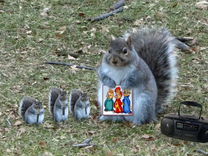 photoshop