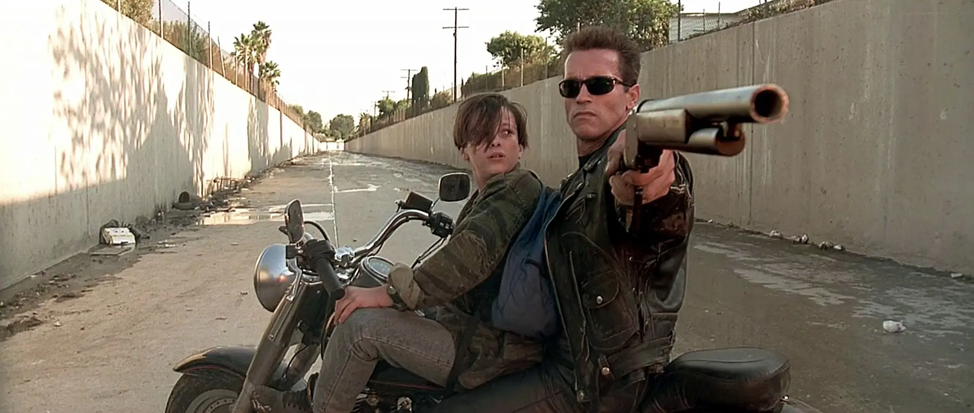terminator 2 terminator 2