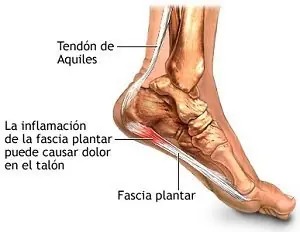 zapatillas nike