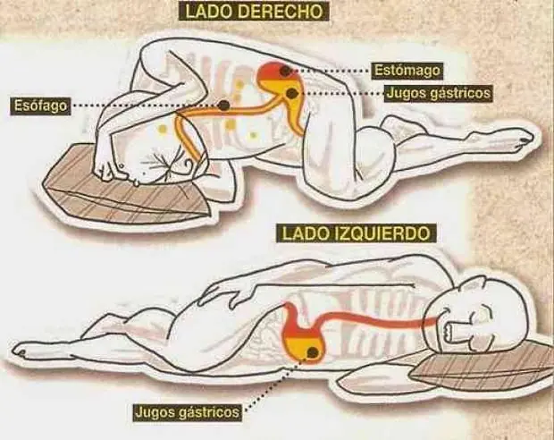 estudios estudios
