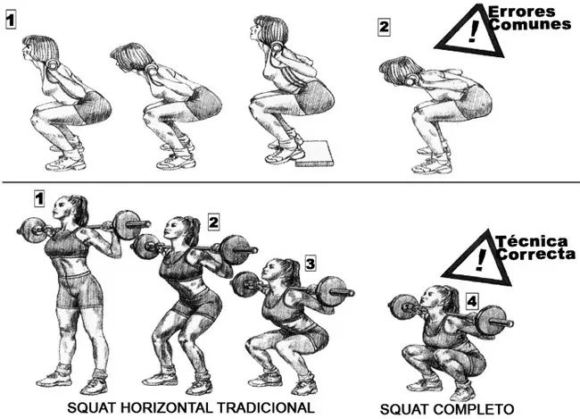 gluteos