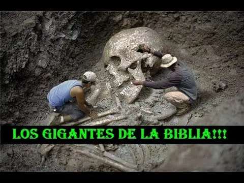 el ser humano