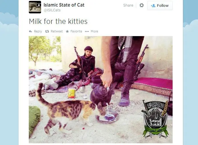 ¿Por que ISIS ama a los gatos?