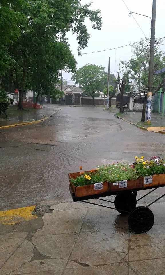 agua agua