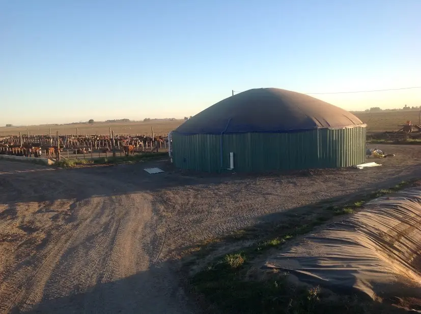 Imaginación & tecnología: Energía quemando estiércol vacuno.