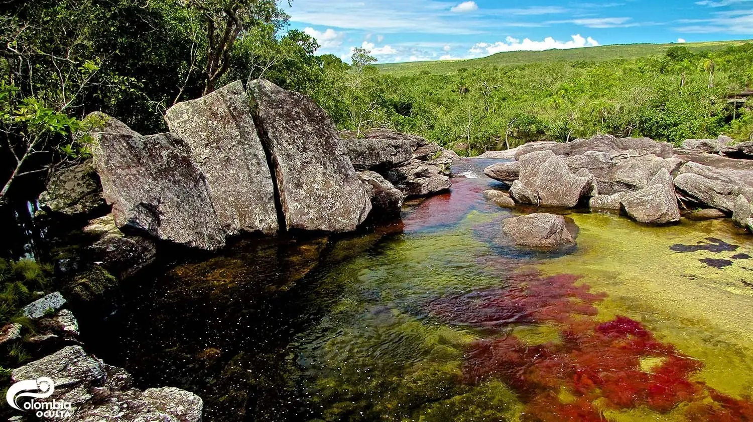ir a cano cristales ir a cano cristales