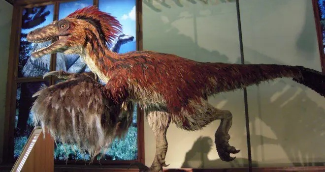 6 falsos mitos sobre los dinosaurios que aún te crees