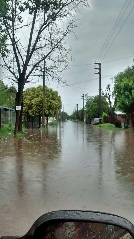 cloacas cloacas