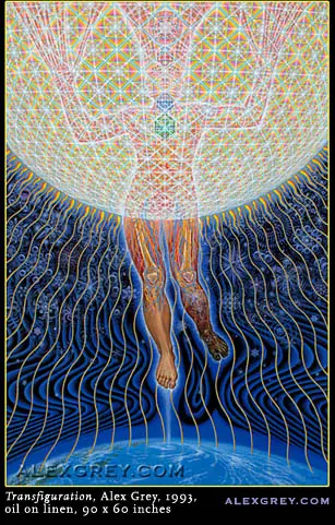 ayahuasca
