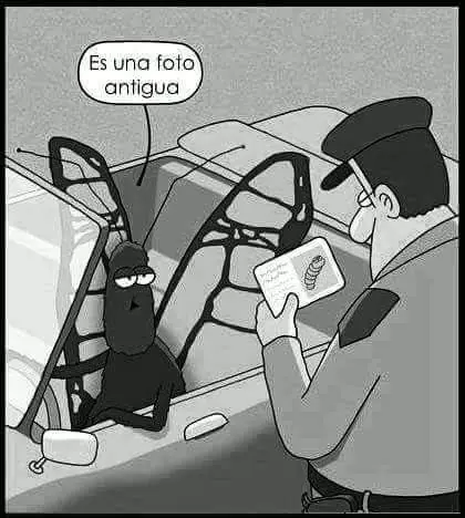 Imagenes graciosas