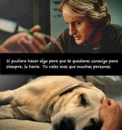 humor