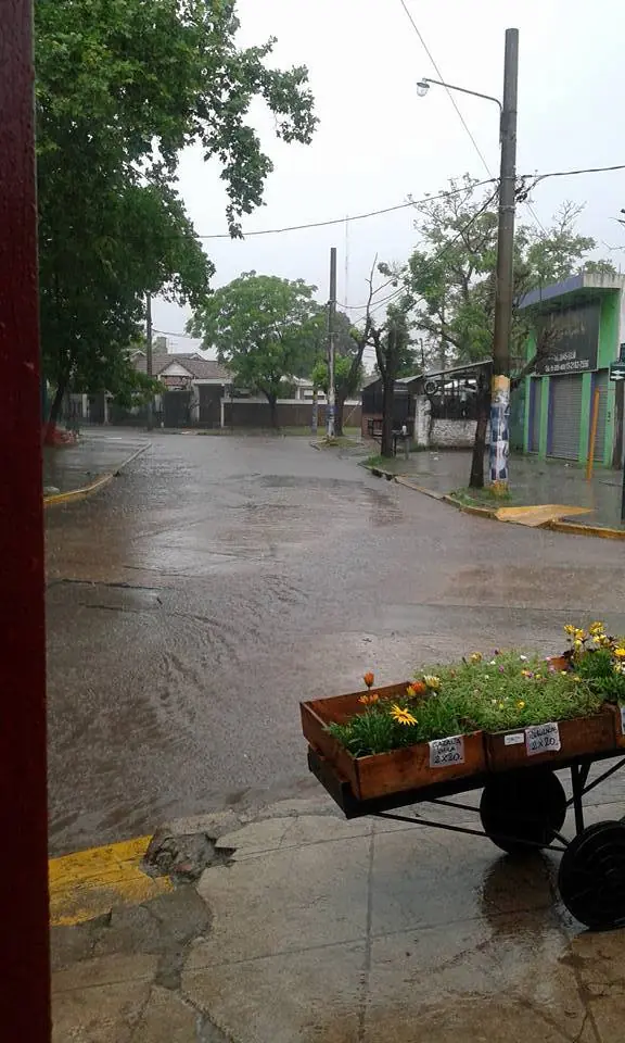zona sur zona sur