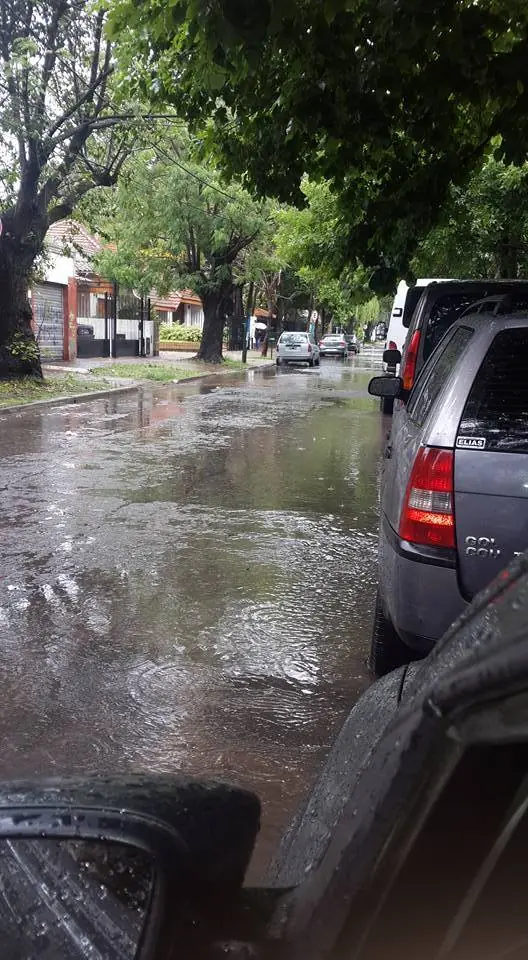 cloacas cloacas