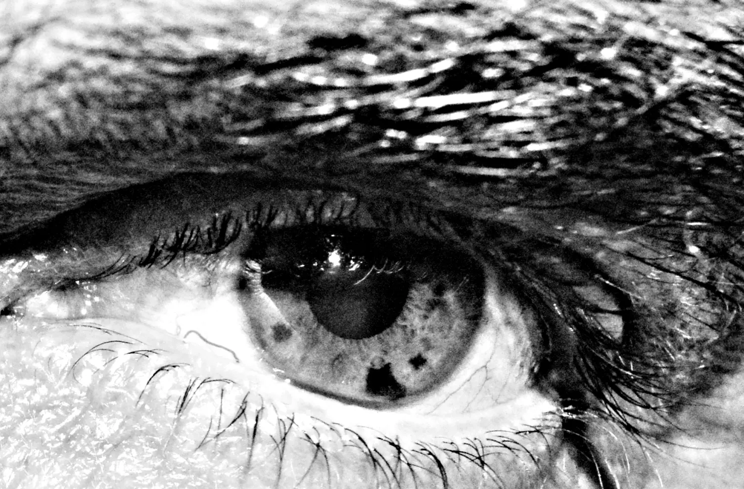 ojo