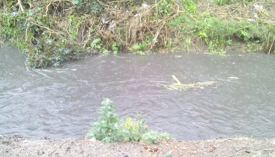 zona sur zona sur