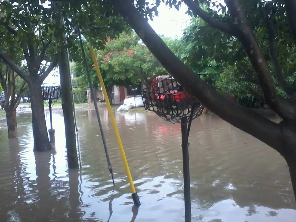 cloacas cloacas