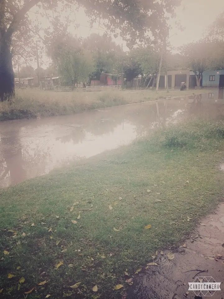 cloacas cloacas