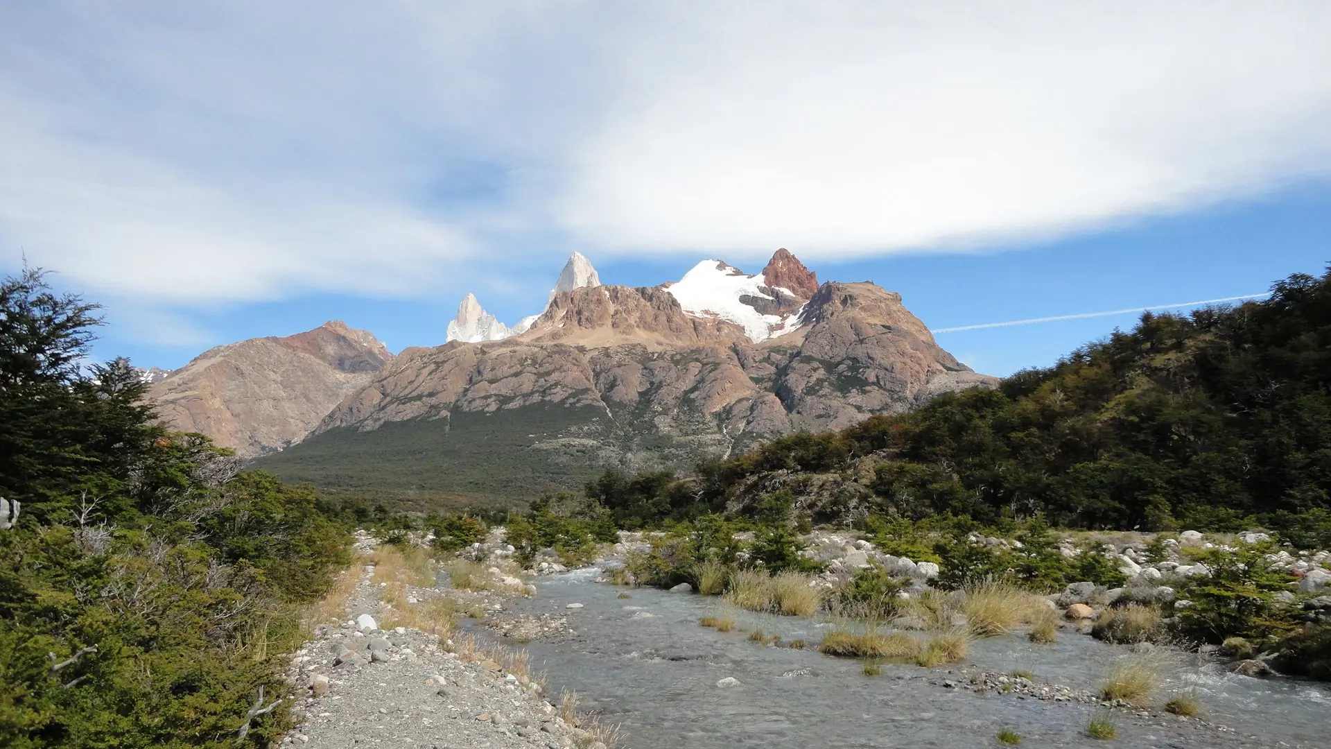 calafate