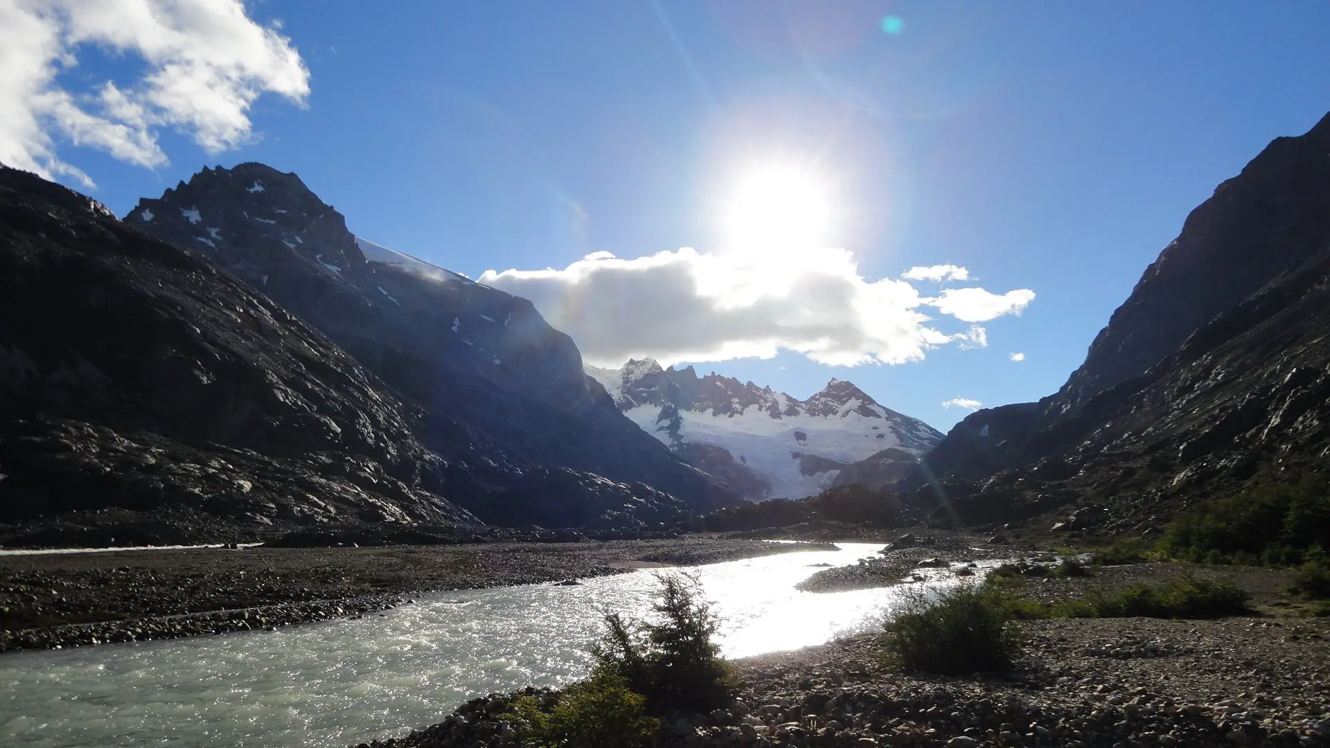 calafate