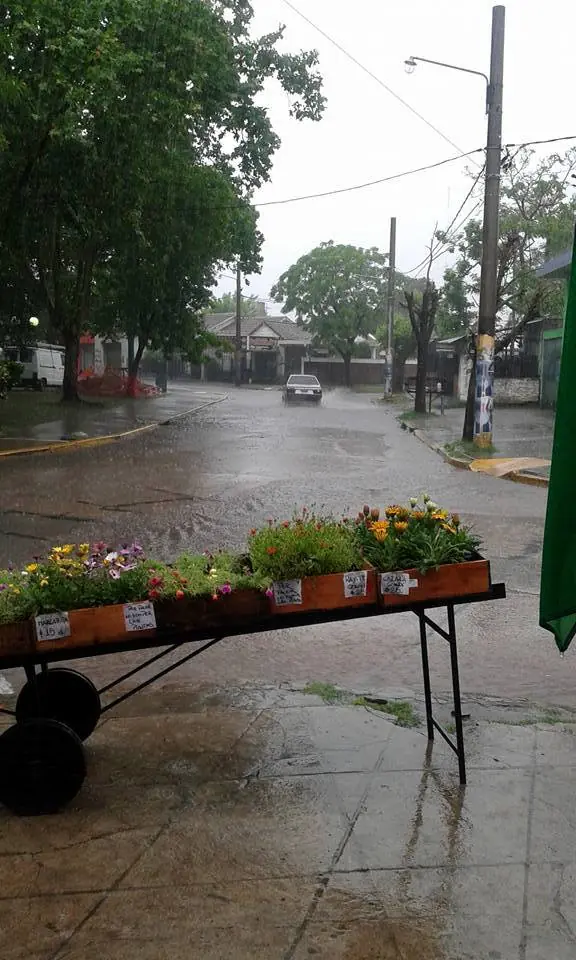 Zona Sur inundada, gracias Scioli (Fotos) Zona Sur inundada, gracias Scioli (Fotos)
